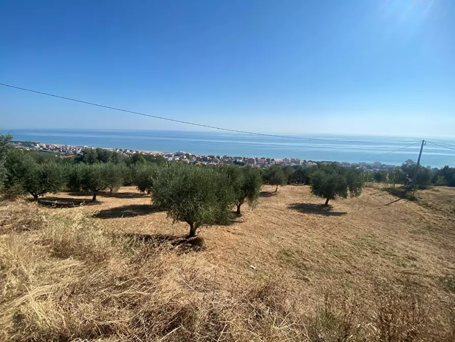 Immagine 24 di Porzione di casa in vendita  in Contrada Stagliano a Silvi