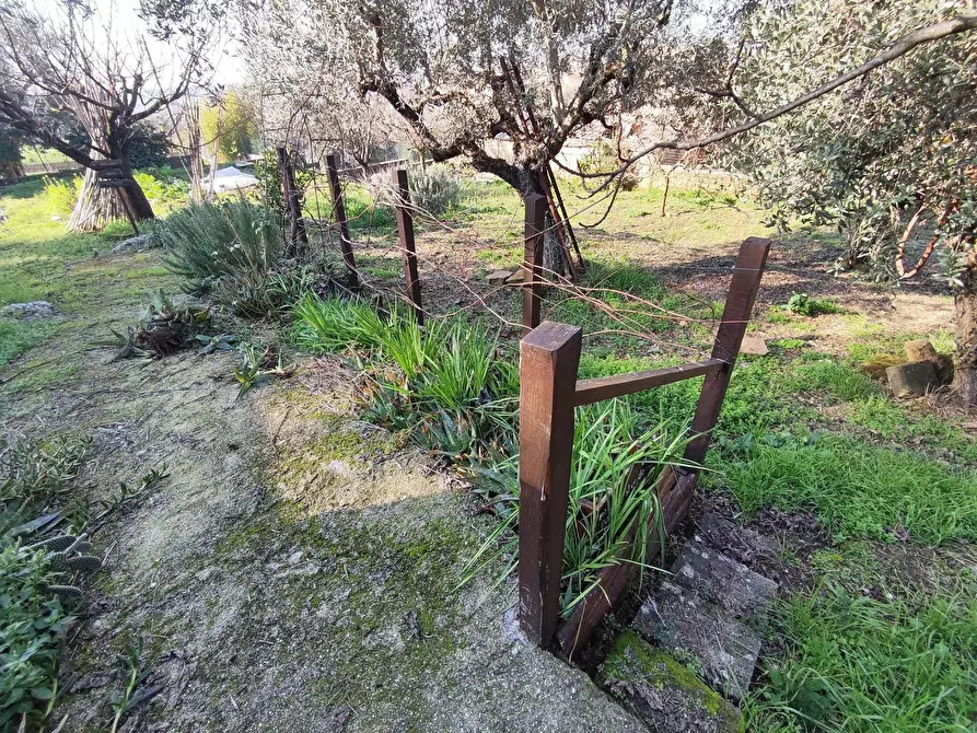 Immagine 3 di Terreno agricolo in vendita  in Via Colle di Mitriano a Guidonia Montecelio