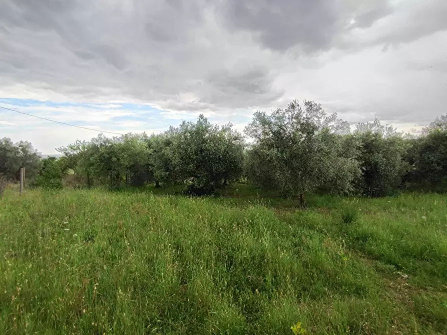 Immagine 12 di Terreno agricolo in vendita  in Via Colle Rosa a Tivoli