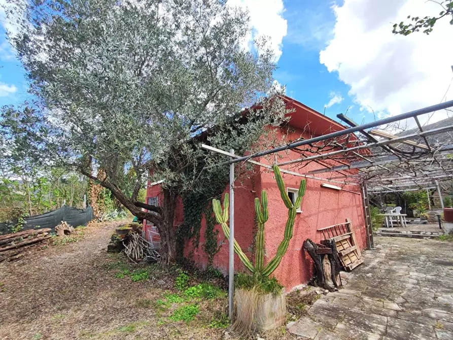 Immagine 1 di Terreno agricolo in vendita  in Via Dello Scalo Ferroviario 12 a Marcellina