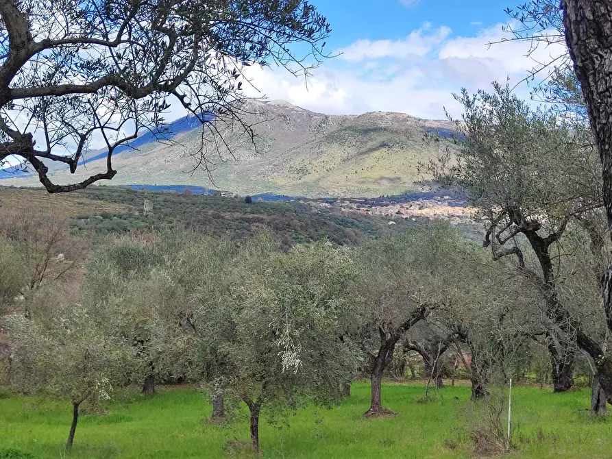 Immagine 13 di Terreno agricolo in vendita  in Via Dello Scalo Ferroviario 12 a Marcellina