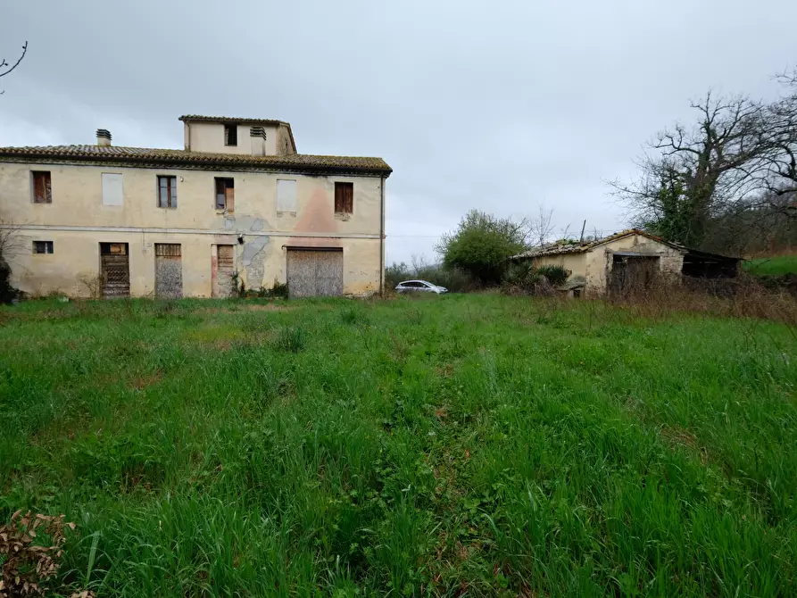 Immagine 1 di Terreno agricolo in vendita  in Contrada Salerna 129 a Cupramontana