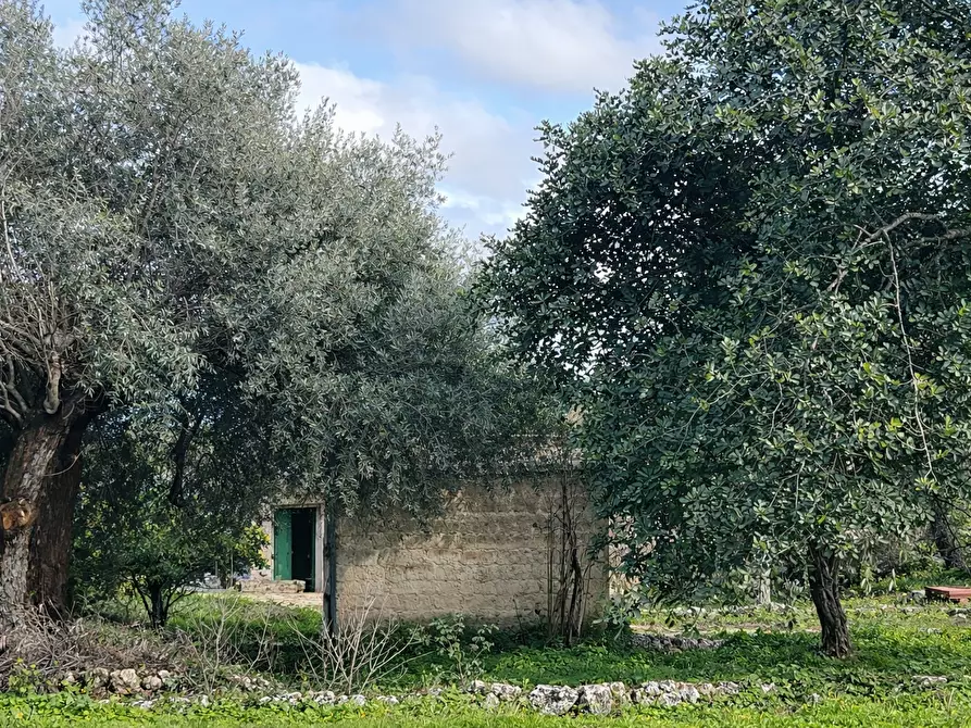 Immagine 6 di Terreno agricolo in vendita  in CONTRADA SABATU' a Canicattini Bagni