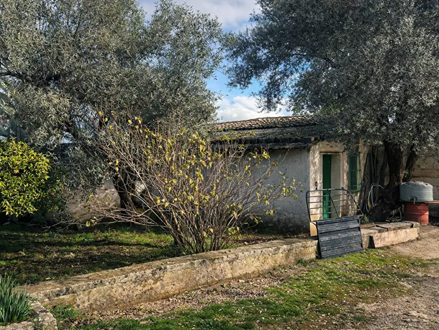 Immagine 12 di Terreno agricolo in vendita  in CONTRADA SABATU' a Canicattini Bagni