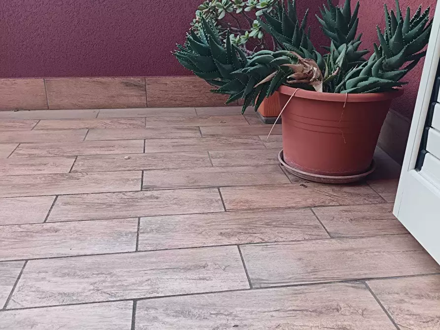 Immagine 35 di Appartamento in vendita  a Balestrate