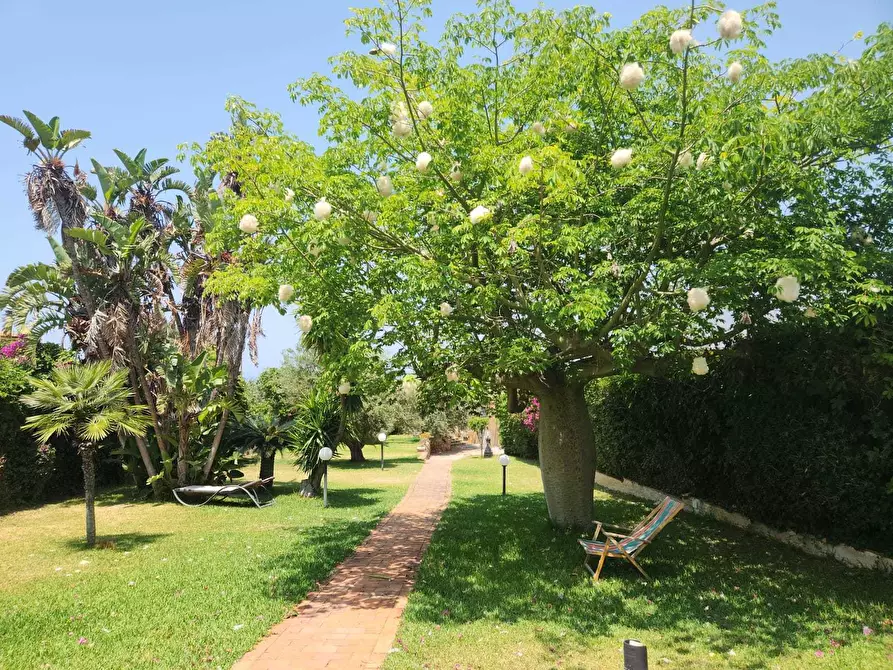 Immagine 14 di Villa in vendita  a Partinico