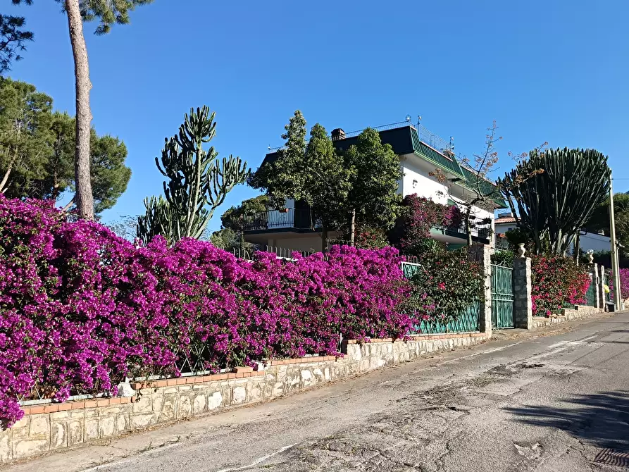 Immagine 27 di Villa in vendita  a Trabia