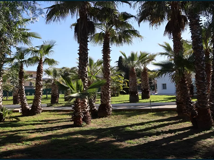 Immagine 39 di Villa in vendita  a Partinico