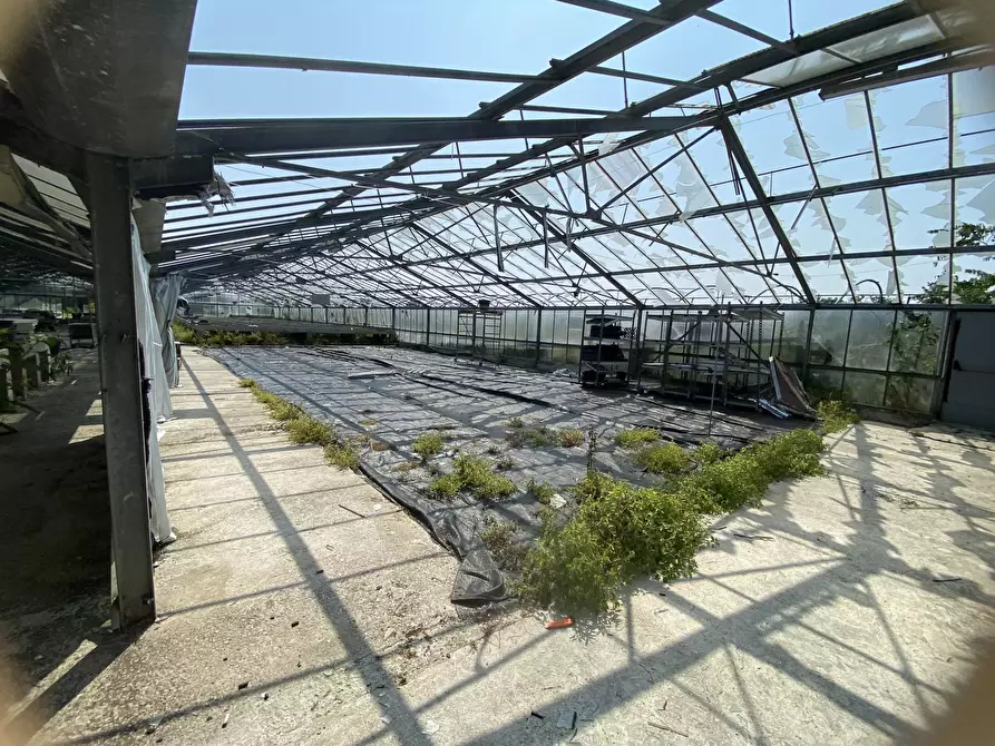 Immagine 8 di Capannone industriale in vendita  in VIA CERCA 2 a Settala