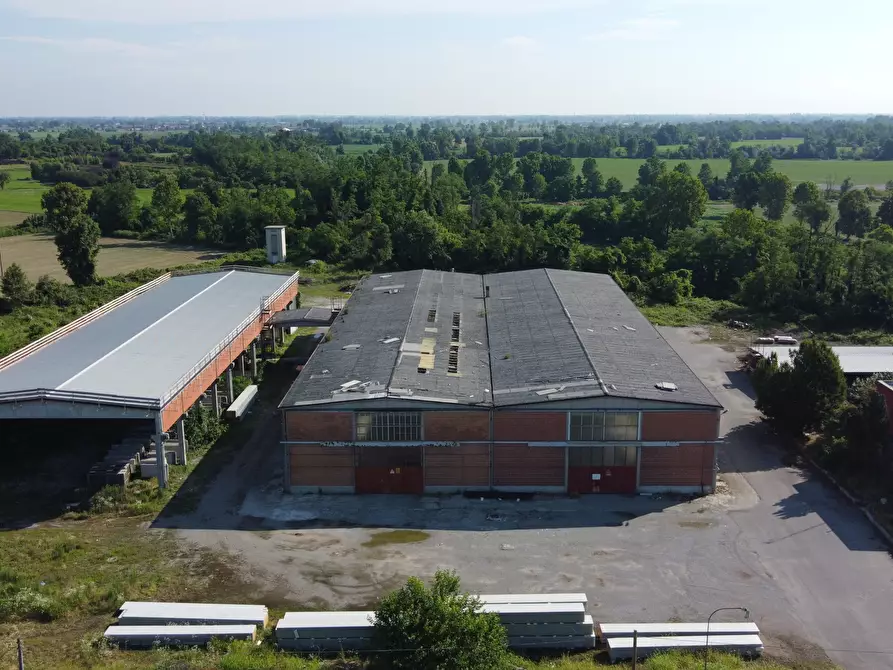 Immagine 5 di Capannone industriale in affitto  in strada Provinciale 26 20 a San Martino In Strada