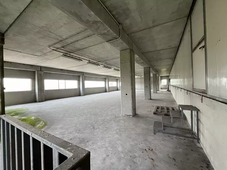 Immagine 14 di Capannone industriale in vendita  in Via Einstein 6 a Villanterio