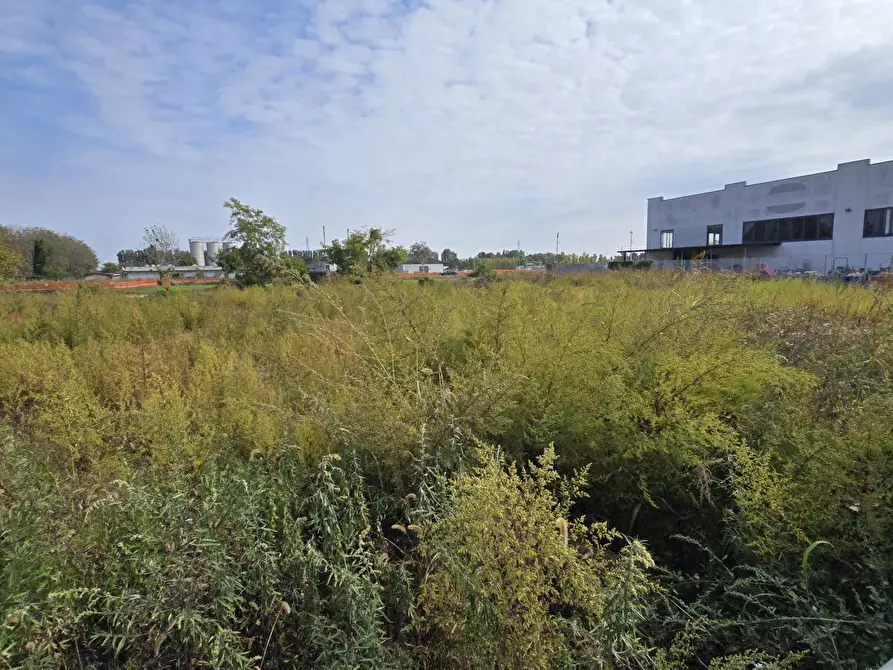 Immagine 9 di Terreno industriale in vendita  in via Toscana a Cornegliano Laudense