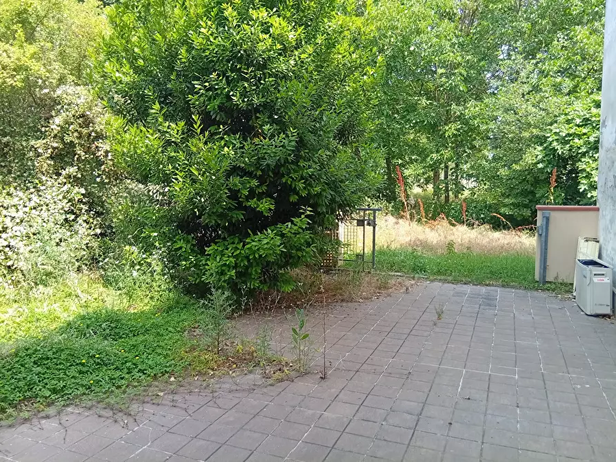 Immagine 16 di Villa in vendita  in Via Dossi 40 a Sabbioneta