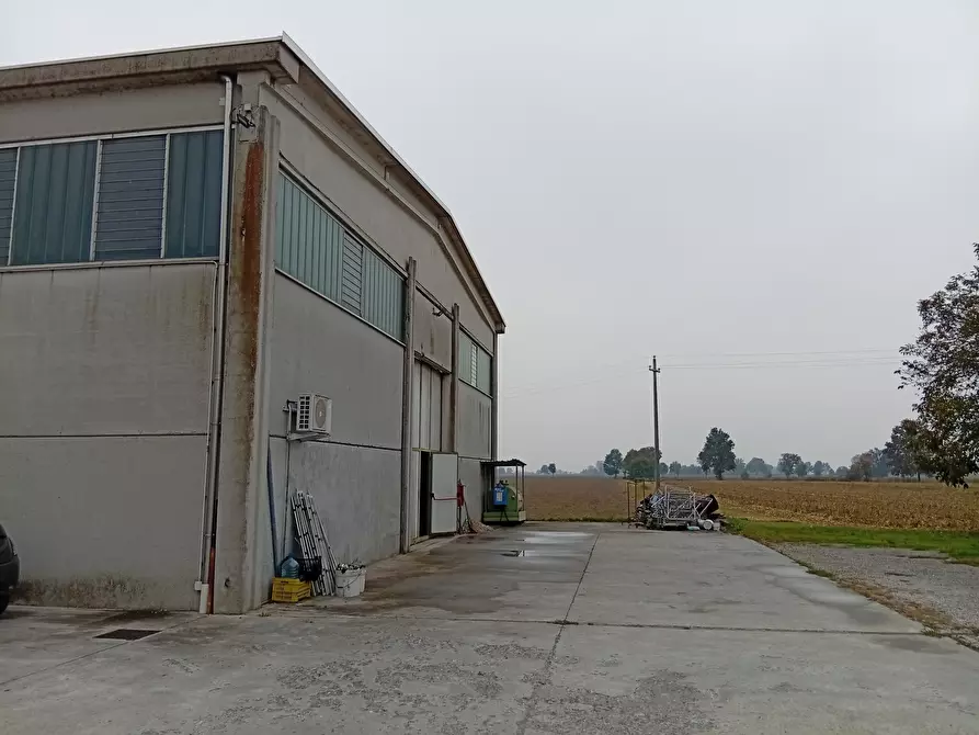 Immagine 7 di Magazzino in vendita  in Via San Remigio 43 a Sabbioneta