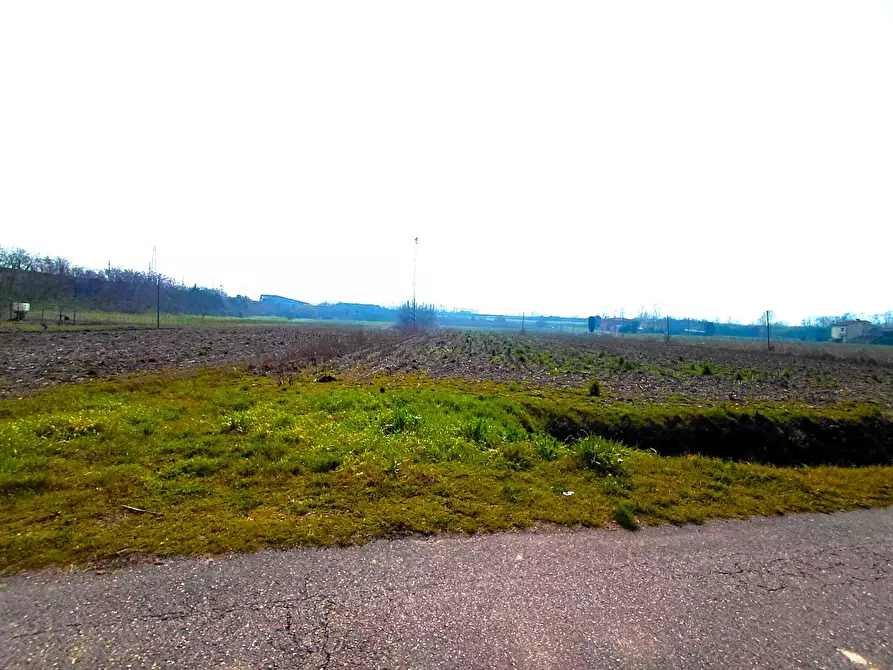 Immagine 3 di Terreno agricolo in vendita  a Boara Pisani