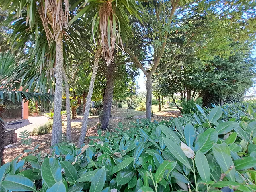 Immagine 26 di Porzione di casa in vendita  a Rovigo
