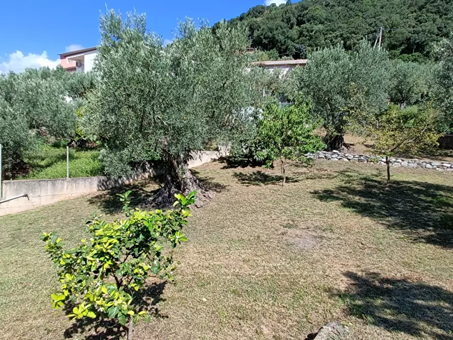 Immagine 19 di Villa in vendita  in SP79 a Feroleto Antico