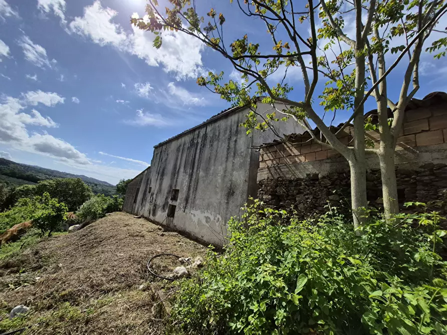 Immagine 11 di Casa indipendente in vendita  in Contrada San Filippo 7 a Pianopoli