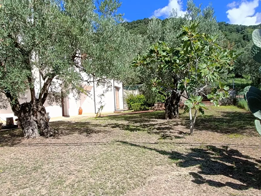 Immagine 18 di Villa in vendita  in SP79 a Feroleto Antico