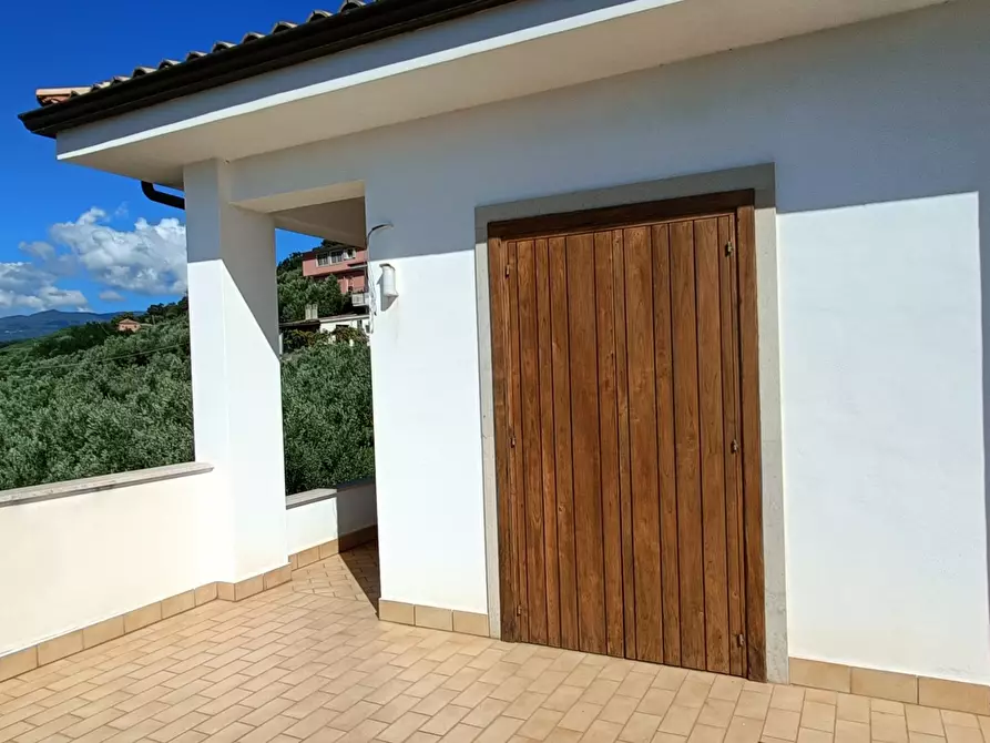 Immagine 7 di Villa in vendita  in SP79 a Feroleto Antico