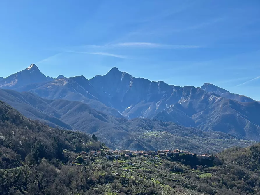 Immagine 2 di Terratetto in vendita  in Località Luscignano 18 a Casola In Lunigiana