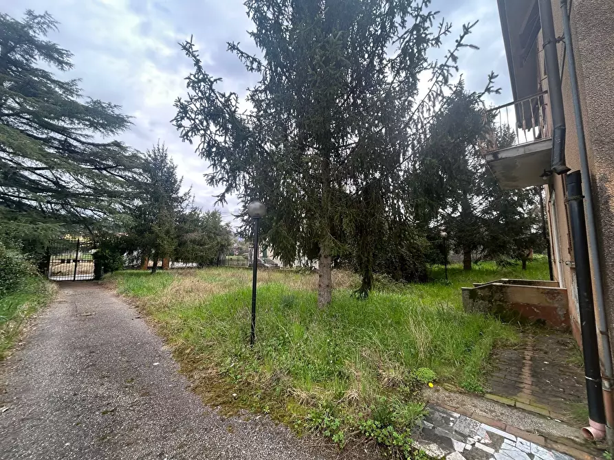 Immagine 15 di Casa bifamiliare in vendita  a Sarzana