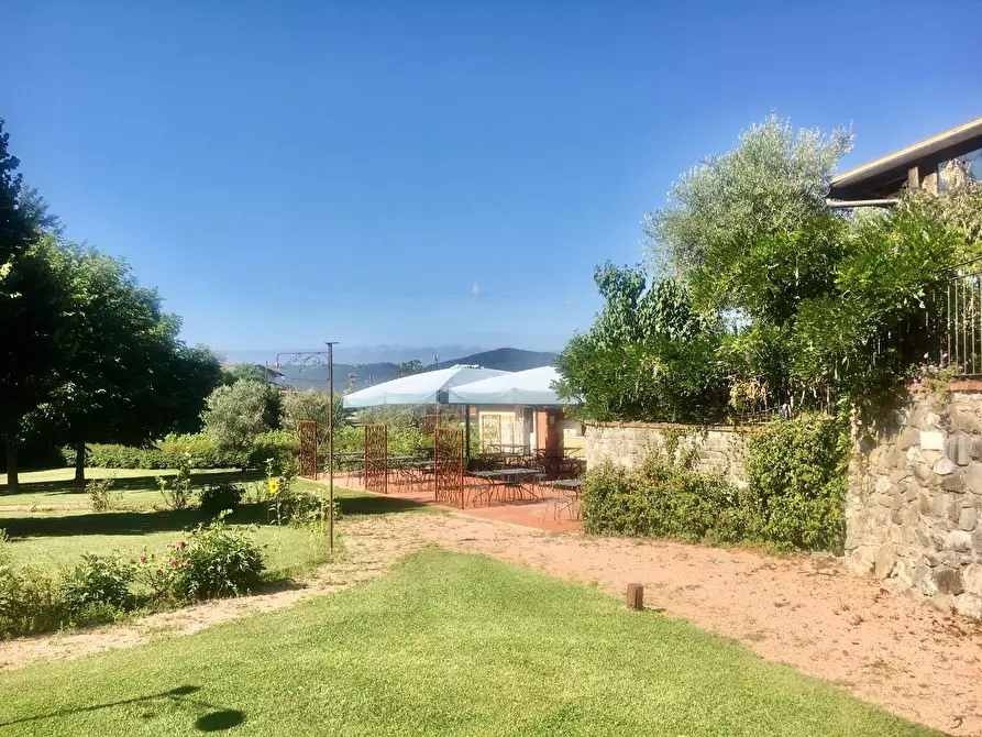 Immagine 14 di Agriturismo in vendita  a Castelnuovo Magra