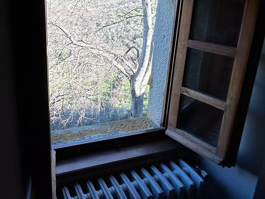 Immagine 35 di Terratetto in vendita  in Località Luscignano 18 a Casola In Lunigiana