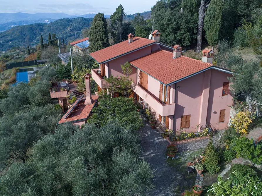 Immagine 4 di Villa in vendita  a Fosdinovo