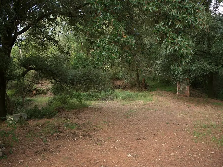 Immagine 74 di Villa in vendita  a Sarzana