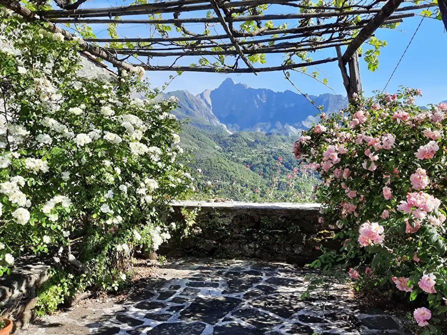 Immagine 1 di Casa indipendente in vendita  in Località Luscignano 18 a Casola In Lunigiana