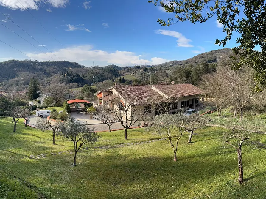 Immagine 6 di Casa bifamiliare in vendita  a Sarzana