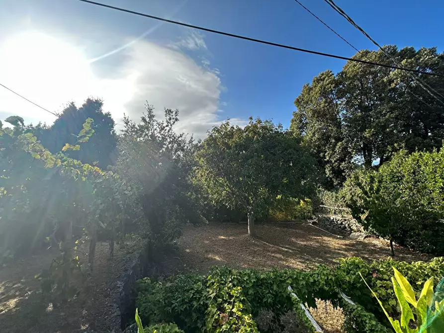 Immagine 17 di Rustico / casale in vendita  a Ameglia