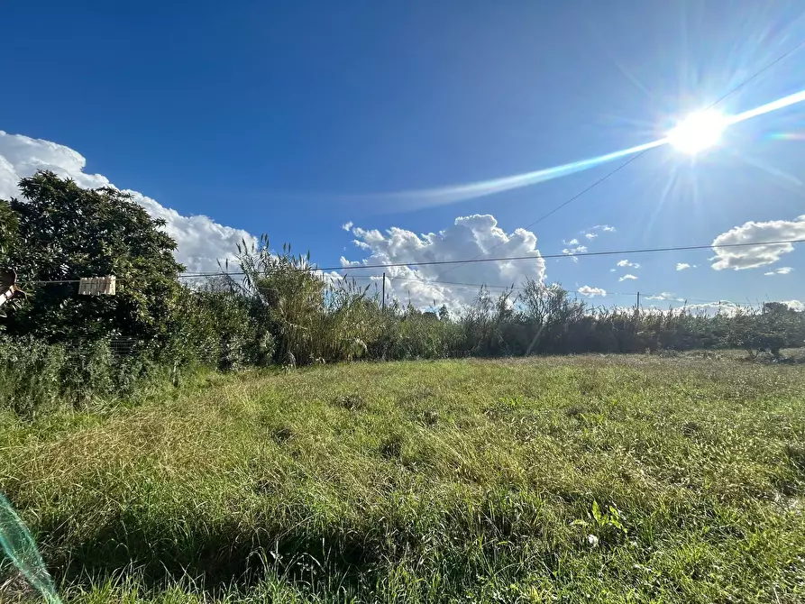 Immagine 20 di Rustico / casale in vendita  a Sarzana