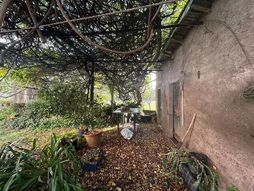 Immagine 13 di Rustico / casale in vendita  a Sarzana