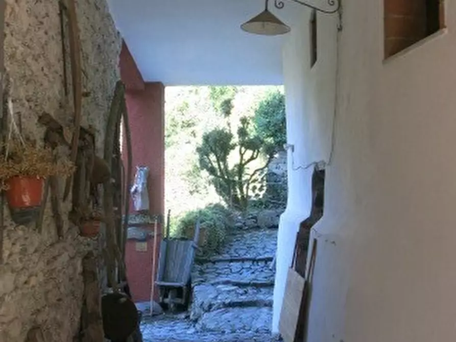 Immagine 8 di Rustico / casale in vendita  a Fosdinovo