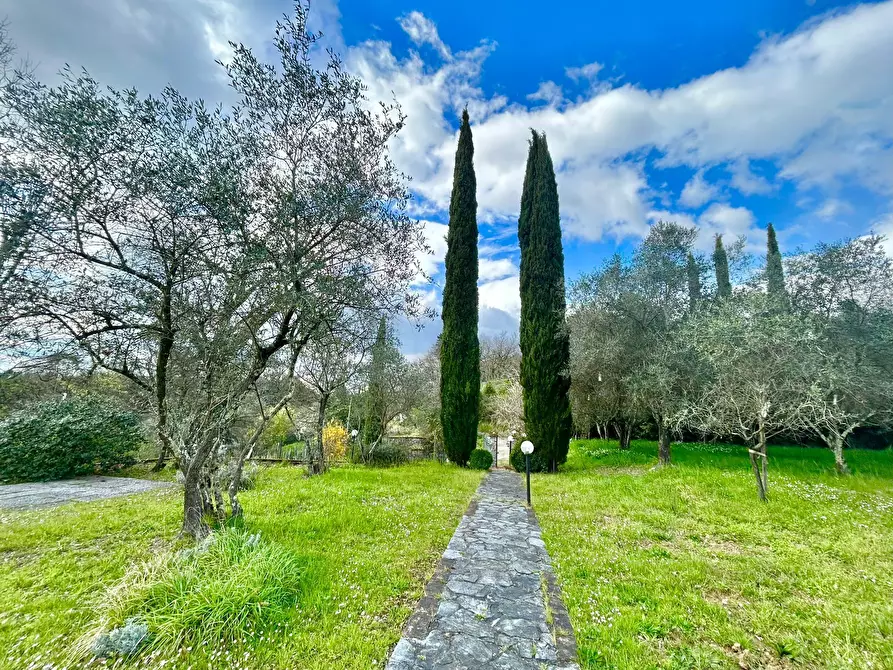 Immagine 5 di Casa indipendente in vendita  a Sarzana