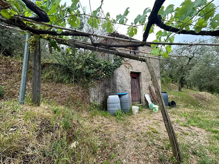 Immagine 7 di Terreno agricolo in vendita  a Arcola