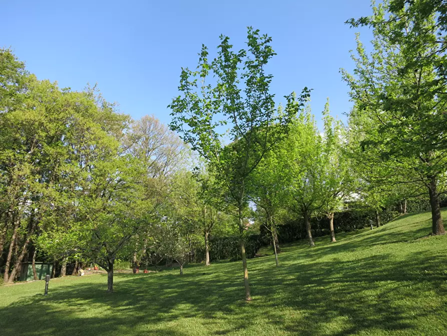 Immagine 19 di Villa in vendita  a Sarzana