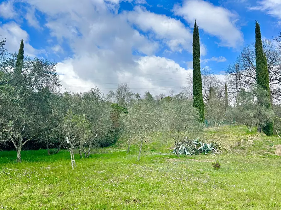 Immagine 18 di Casa indipendente in vendita  a Sarzana