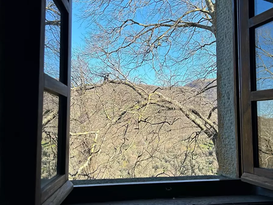 Immagine 18 di Terratetto in vendita  in Località Luscignano 18 a Casola In Lunigiana