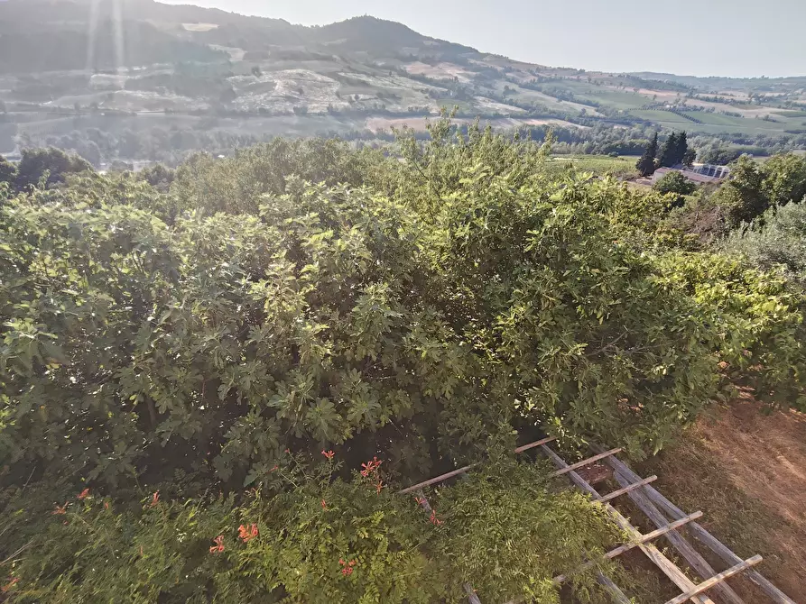 Immagine 34 di Casa indipendente in vendita  in Località Bilegno 29 a Pianello Val Tidone