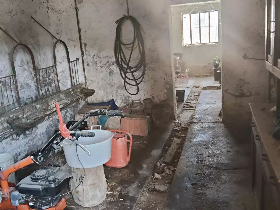 Immagine 40 di Casa indipendente in vendita  in Via Enrico Fermi 13 a Pieve Porto Morone