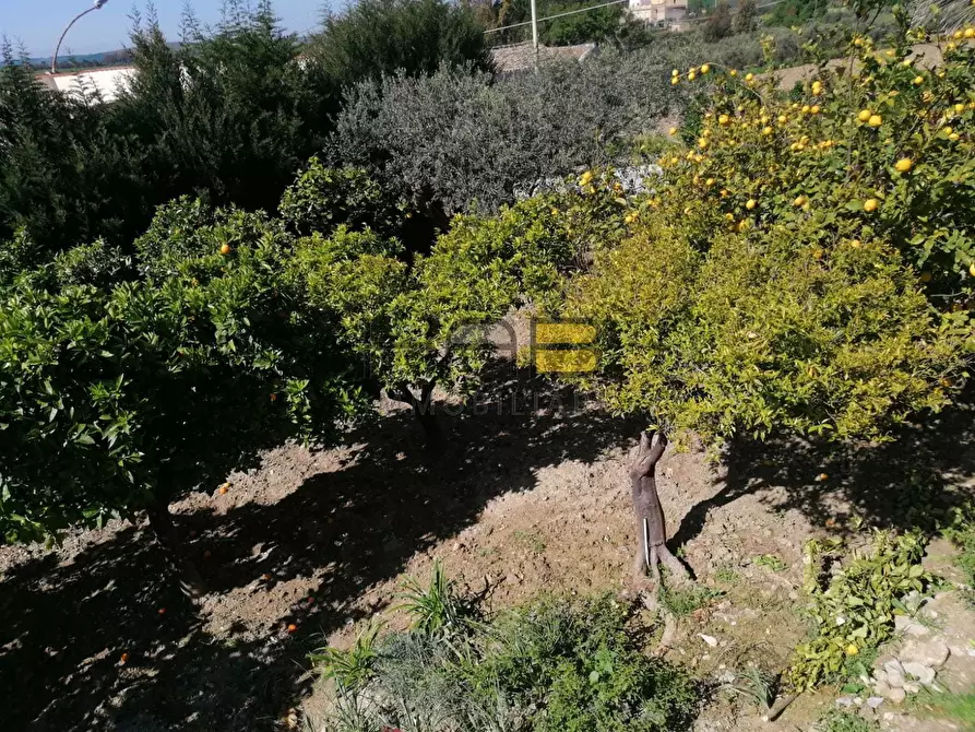 Immagine 15 di Casa indipendente in vendita  in Dattilo a Paceco