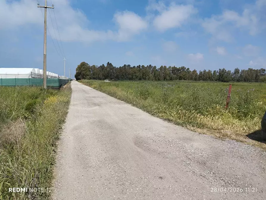 Immagine 4 di Terreno agricolo in vendita  in via bernardo tanucci a Eboli