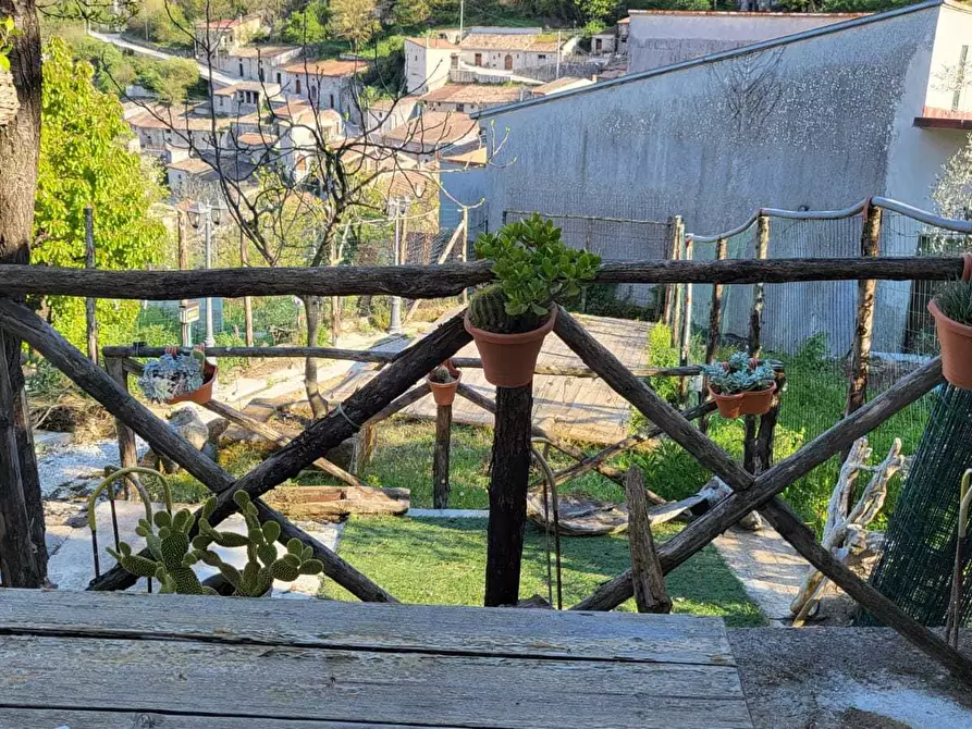 Immagine 8 di Terratetto in vendita  in via dogali a San Gregorio Magno