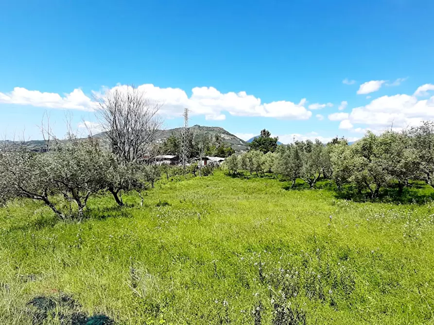 Immagine 13 di Terreno agricolo in vendita  in via contrada maiano a Montecorvino Rovella