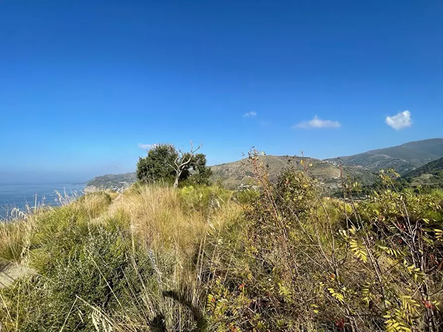 Immagine 1 di Terreno agricolo in vendita  in località macchio a Montecorice