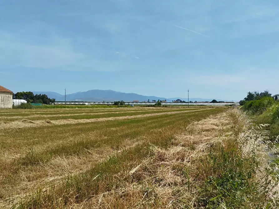 Immagine 2 di Terreno agricolo in vendita  in via bernardo tanucci a Eboli