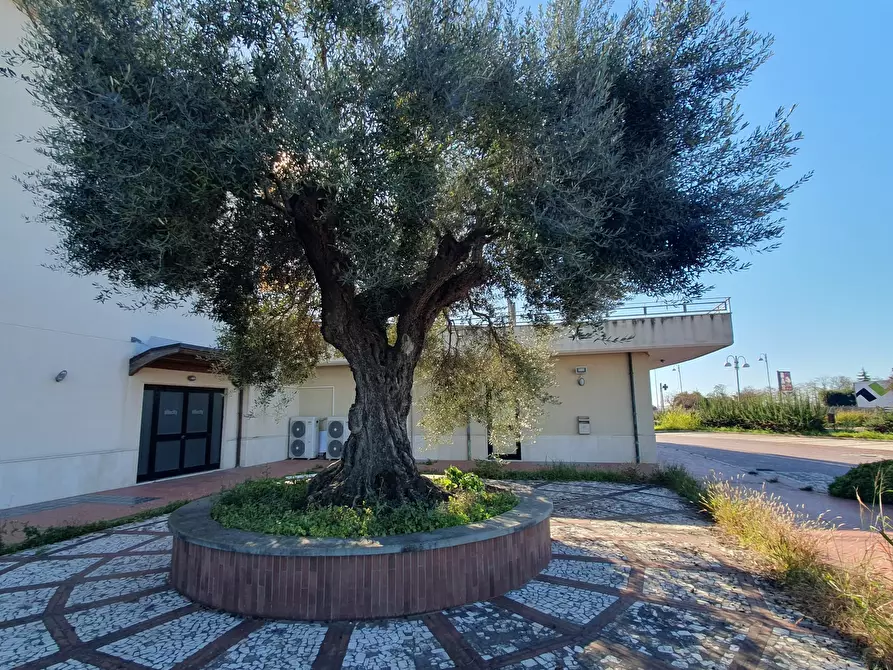 Immagine 11 di Locale commerciale in vendita  in località corno d'oro a Eboli